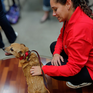 Catawba Valley Obedience Club, Hickory NC